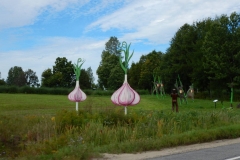 14324274_10154037801186871_2147243245862440361_o