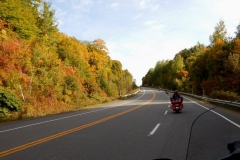 14542352_1126177527461122_7048295237861770880_o