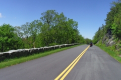 IMGP0131