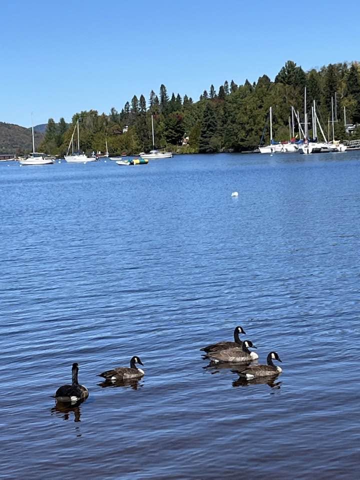 Laurentides_7