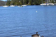 Laurentides_7