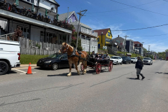 Maritimes_9