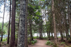 Parc-Mauricie_1